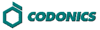 Header Graphic